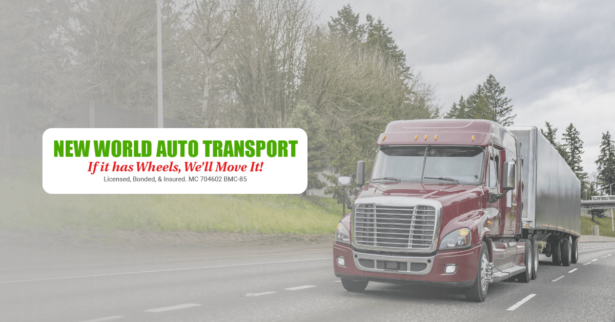 Is New World Auto Transport Worth the Cost? Look at Their Services blog post image