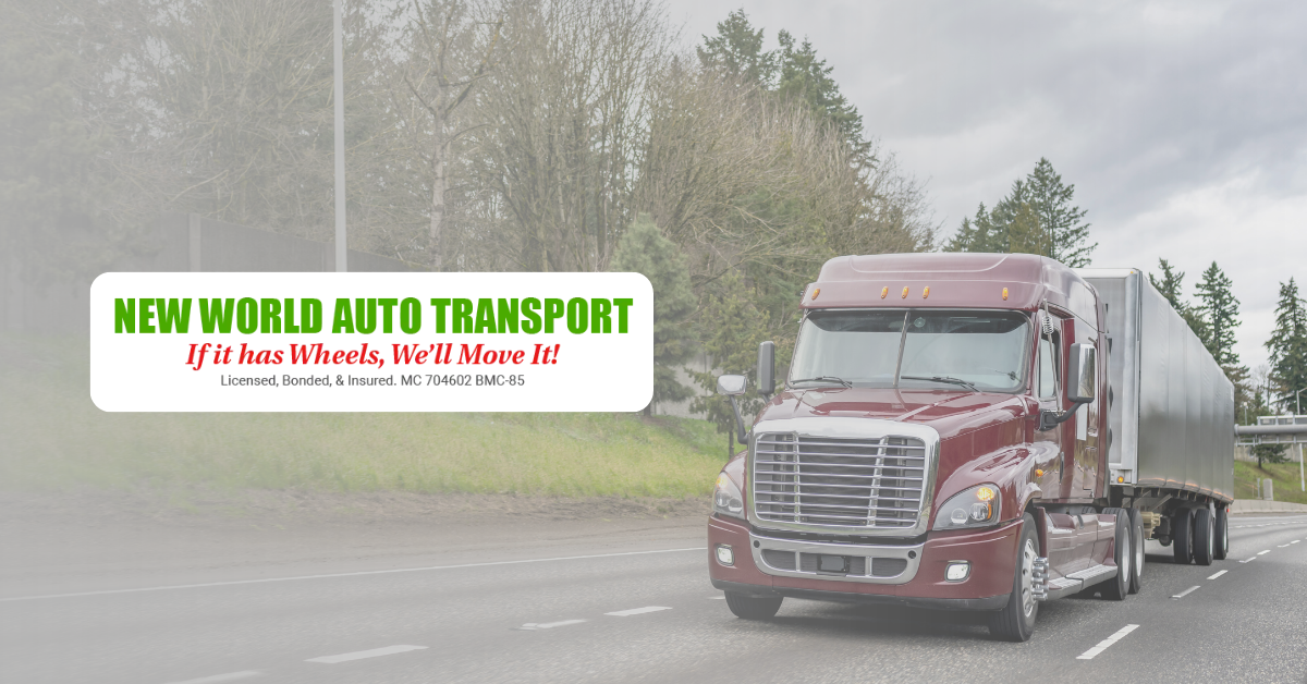 Is New World Auto Transport Worth the Cost? Look at Their Services blog post image