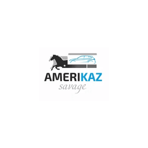 Amerikaz Savage LLC auto transport company logo