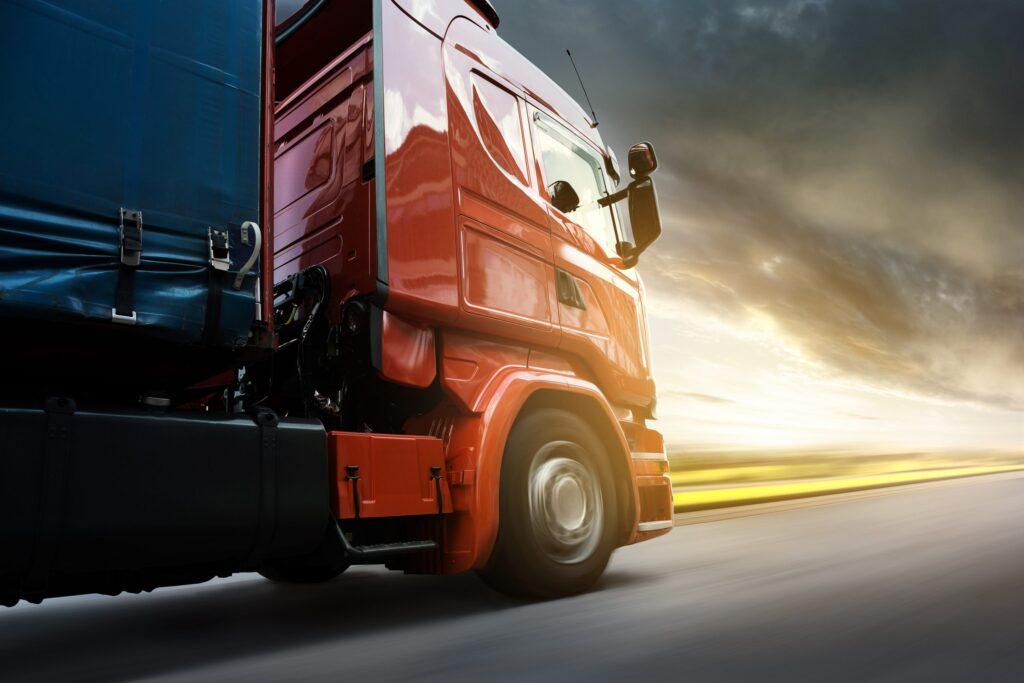safeeds-company-image